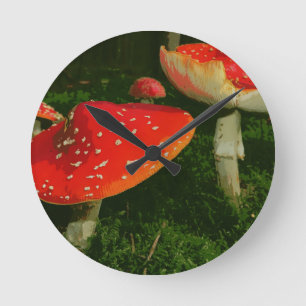 Horloge Ronde Photo rouge de champignons de Muscaria d'amanite