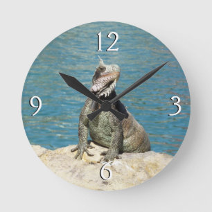 Horloge Ronde Photographie de la faune tropicale Iguana à St. Th