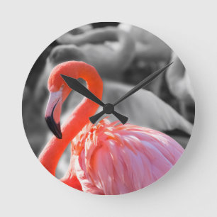 Horloge Ronde Photographie d'oiseaux Flamants roses