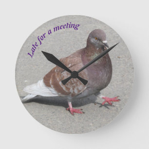 Horloge Ronde Pigeon clock