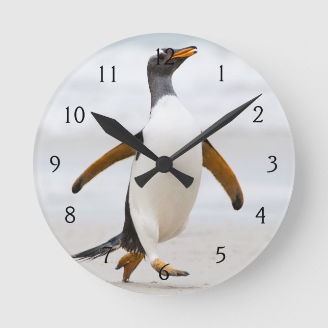 Horloge Ronde Pingouin de Gentoo (Recto)