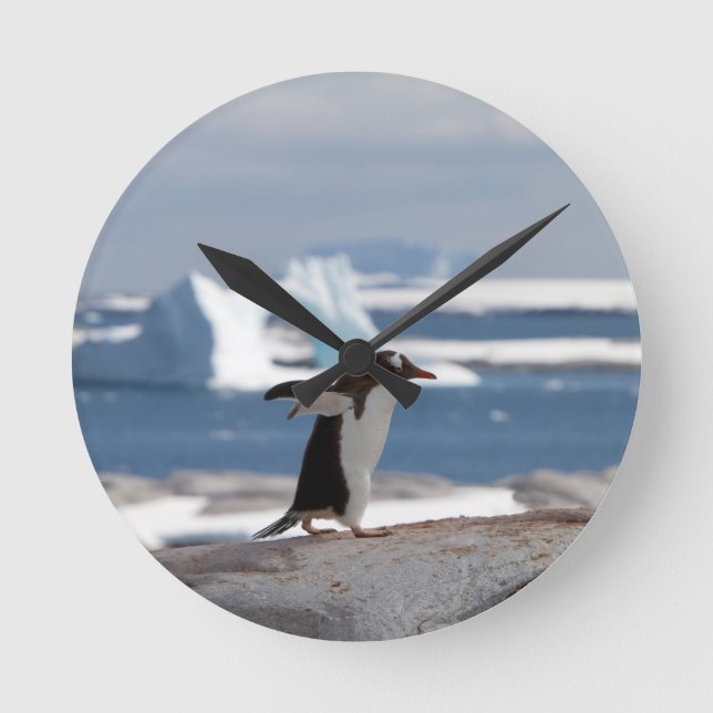 Horloge Ronde Pingouin devant une arche de glace (Recto)