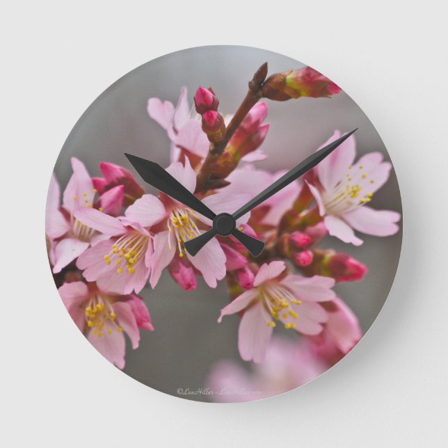 Horloge Ronde Pink Against A Gray Sky Japanese Cherry Blossoms (Recto)