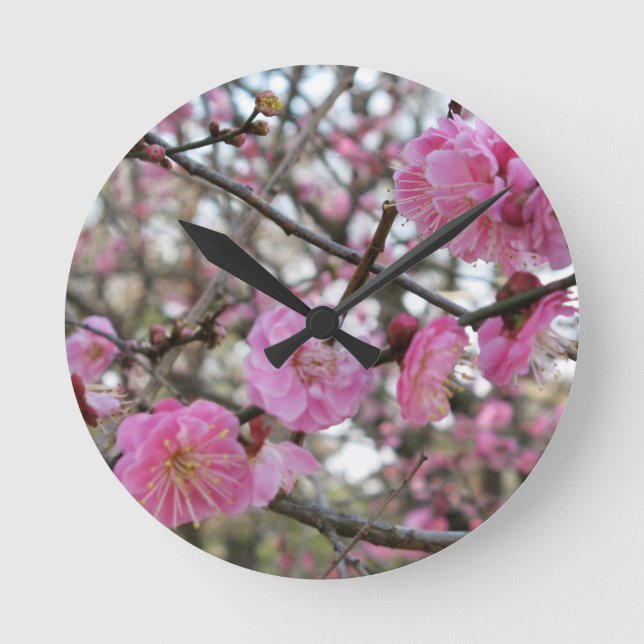 Horloge Ronde Pink Cherry Blossom / Sakura / サクラ（桜) (Recto)