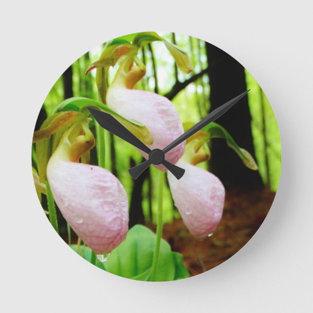 Horloge Ronde Pink Lady Slipper sauvage orchidée (Recto)