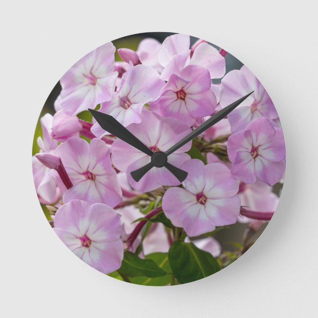 Horloge Ronde Pink Phlox (Recto)
