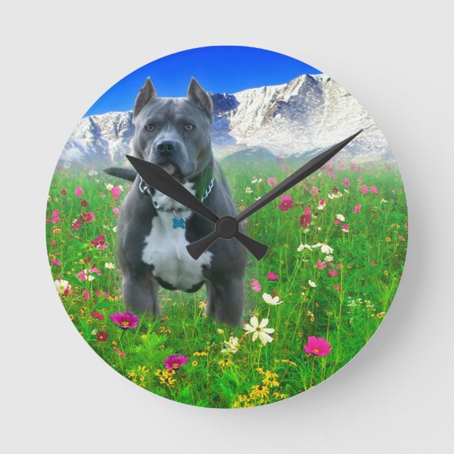 Horloge Ronde Pitbull Terrier américain bleu, crête de brochets (Recto)