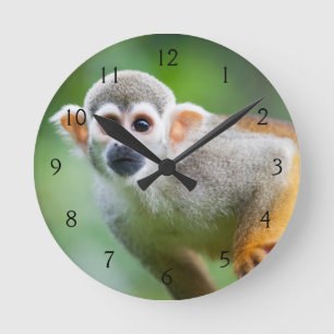 Horloge Ronde Plan rapproché d'un singe-écureuil commun