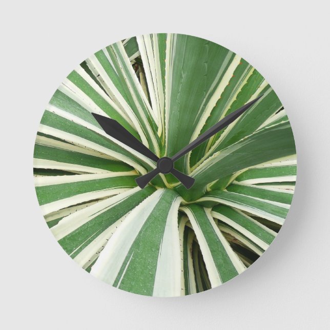 Horloge Ronde Plante Agave Vert et blanc rayé (Recto)