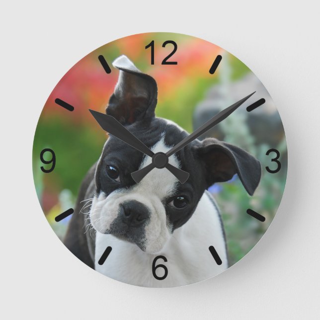 Horloge Ronde Plaque à cadran Boston Terrier Dog mignonne Chiot  (Recto)