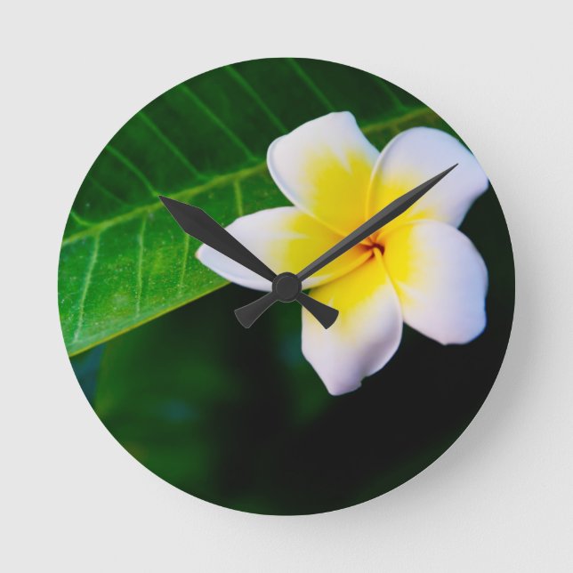 Horloge Ronde Plumeria (Recto)