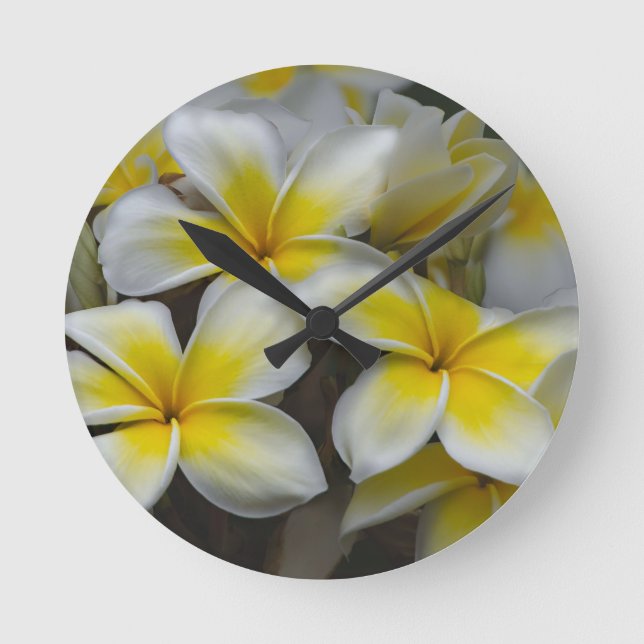 Horloge Ronde Plumeria jaune blanc (Recto)