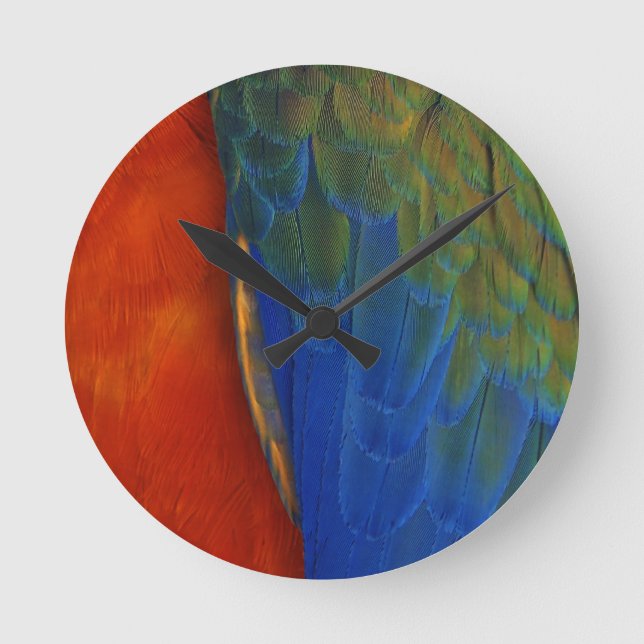 Horloge Ronde Plumes d'Ara (Recto)