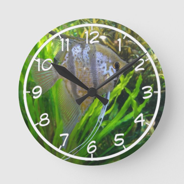 Horloge Ronde Poisson ange (Recto)