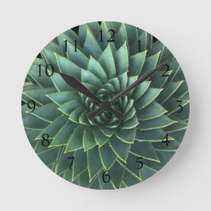 Horloge Ronde Polyphylla Succulente d'Aloe Spirale