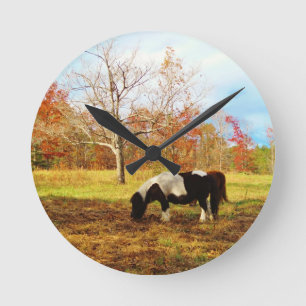 Horloge Ronde Poney miniature noir et blanc / Cheval