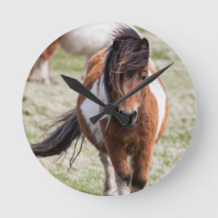 Horloge Ronde Poney Shetland, îles Shetland