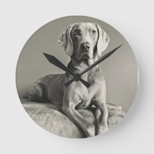 Horloge Ronde Portrait de Weimaraner