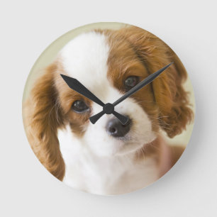 Horloge Ronde Portrait d'un chiot d'épagneul du Roi Charles
