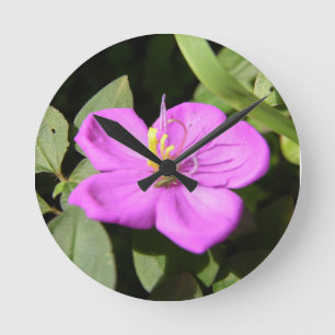 Horloge Ronde Poster de Plumeria Hawaii rose Faux Canvas Imprime