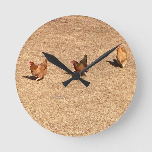 Horloge Ronde Poules (Recto)