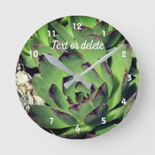 Horloge Ronde Poules et poules Succulents de jardin Personnalisé