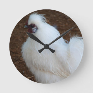 Horloge Ronde Poulet blanc de Silkie