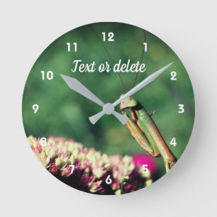 Horloge Ronde Praying Mantis