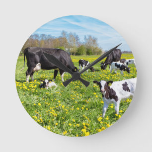 Horloge Ronde Pré complètement des pissenlits avec frôler des