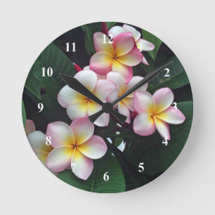Horloge Ronde Pretty Pink et Yellow Plumeria Floral Photo
