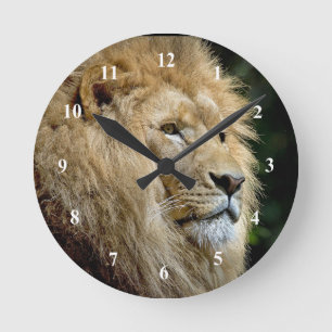 Horloge Ronde Profil du lion photo de la faune