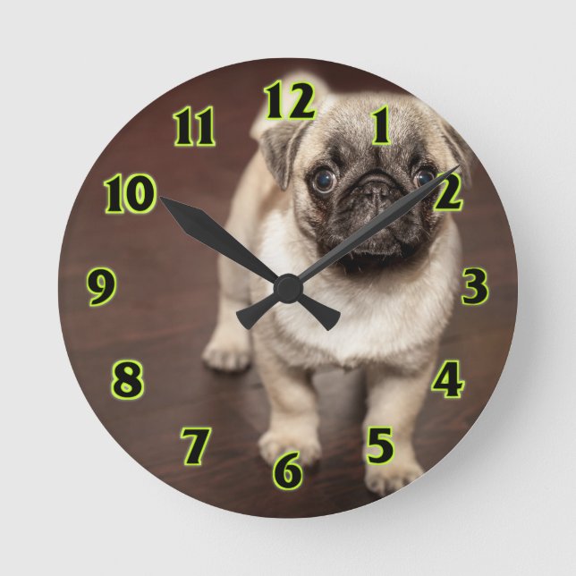 Horloge Ronde Pug puppy (Recto)