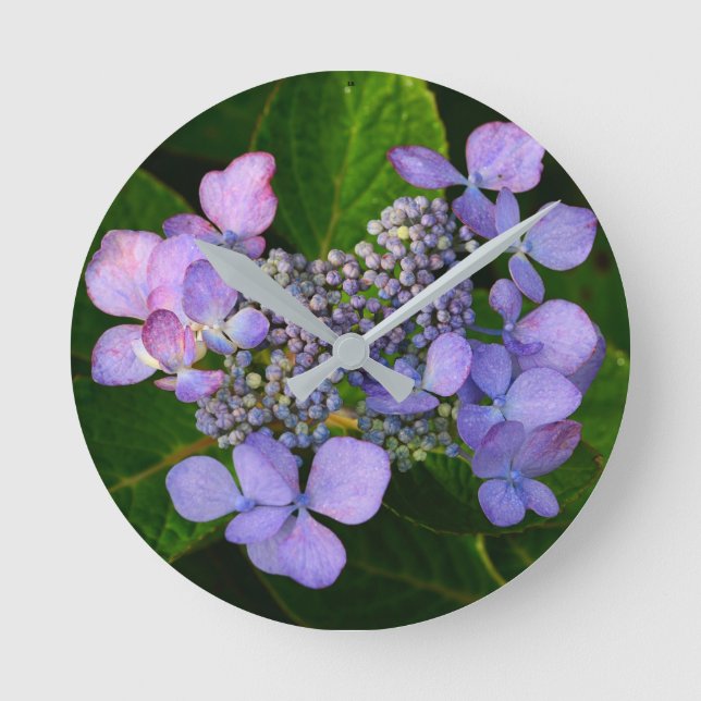 Horloge Ronde Purple Lacecap Hydrangea (Recto)