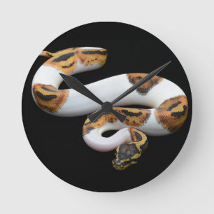 Horloge Ronde python pie de boule