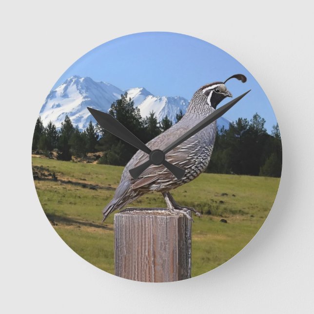 HORLOGE RONDE QUAIL ON DREAM POINT (Recto)