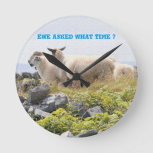 Horloge Ronde Quirky Designs - Sheep in a field