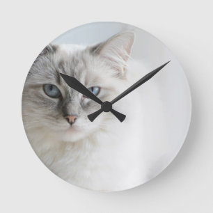 Horloge Ronde Ragdoll
