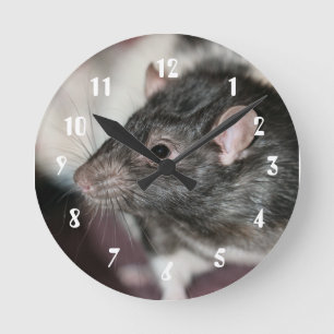 Horloge Ronde Rat