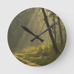 Horloge Ronde Rayons de lumière du matin à travers les arbres da