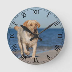 Horloge Ronde Récupérateur de labrador jaune sur la plage