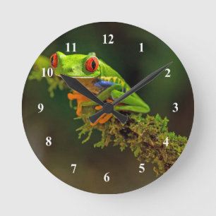 Horloge Ronde Red Eyed Tree Frog Photo