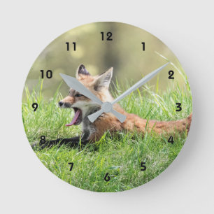 Horloge Ronde Red Fox Kit Yawning