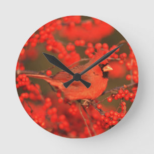 Horloge Ronde Red Northern Cardinal