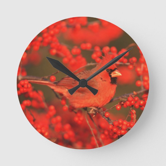 Horloge Ronde Red Northern Cardinal (Recto)