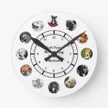 Refuge de sauvetage de chiens Réinstallation 12 Co