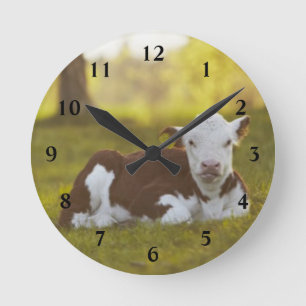 Horloge Ronde Repos de veau