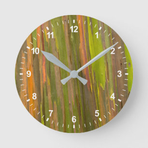 Horloge Ronde Résumé de l'écorce d'eucalyptus
