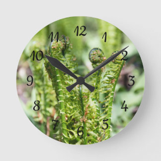 Horloge Ronde Réveil de la jeune fougère dans le jardin