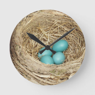 Horloge Ronde Robin Bird Egg