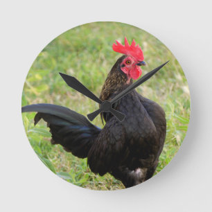 Horloge Ronde Rooster Portrait